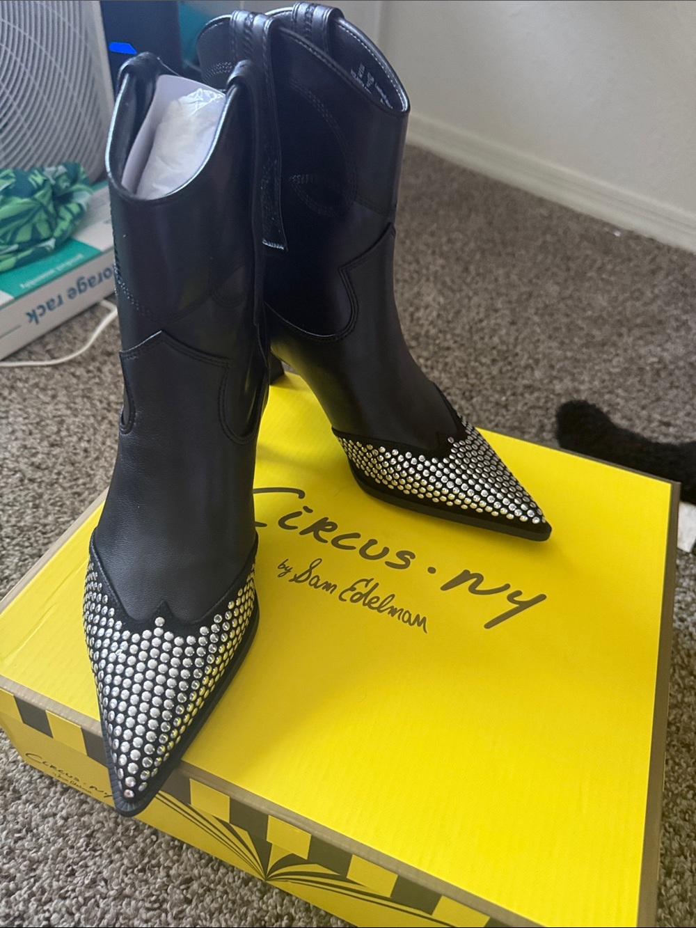 Circus by Sam Edelman Black Pointed Studded Ankle Boots